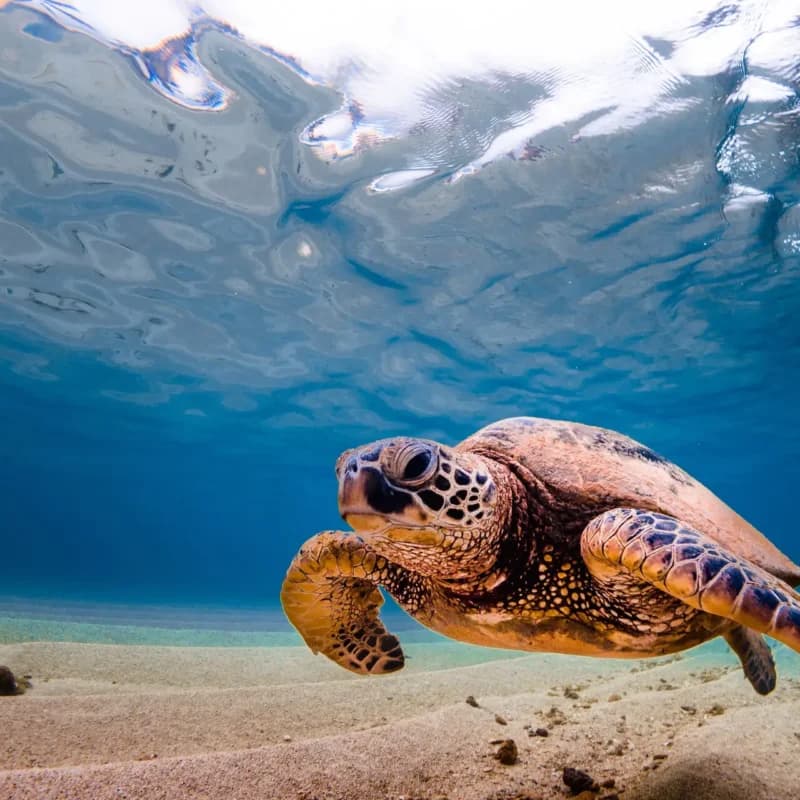 protection-marine-and-coastal-areas-post-feature-image